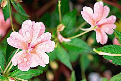 据称《漫威蜘蛛侠》全球收入已达38亿美元 成本仅9000万